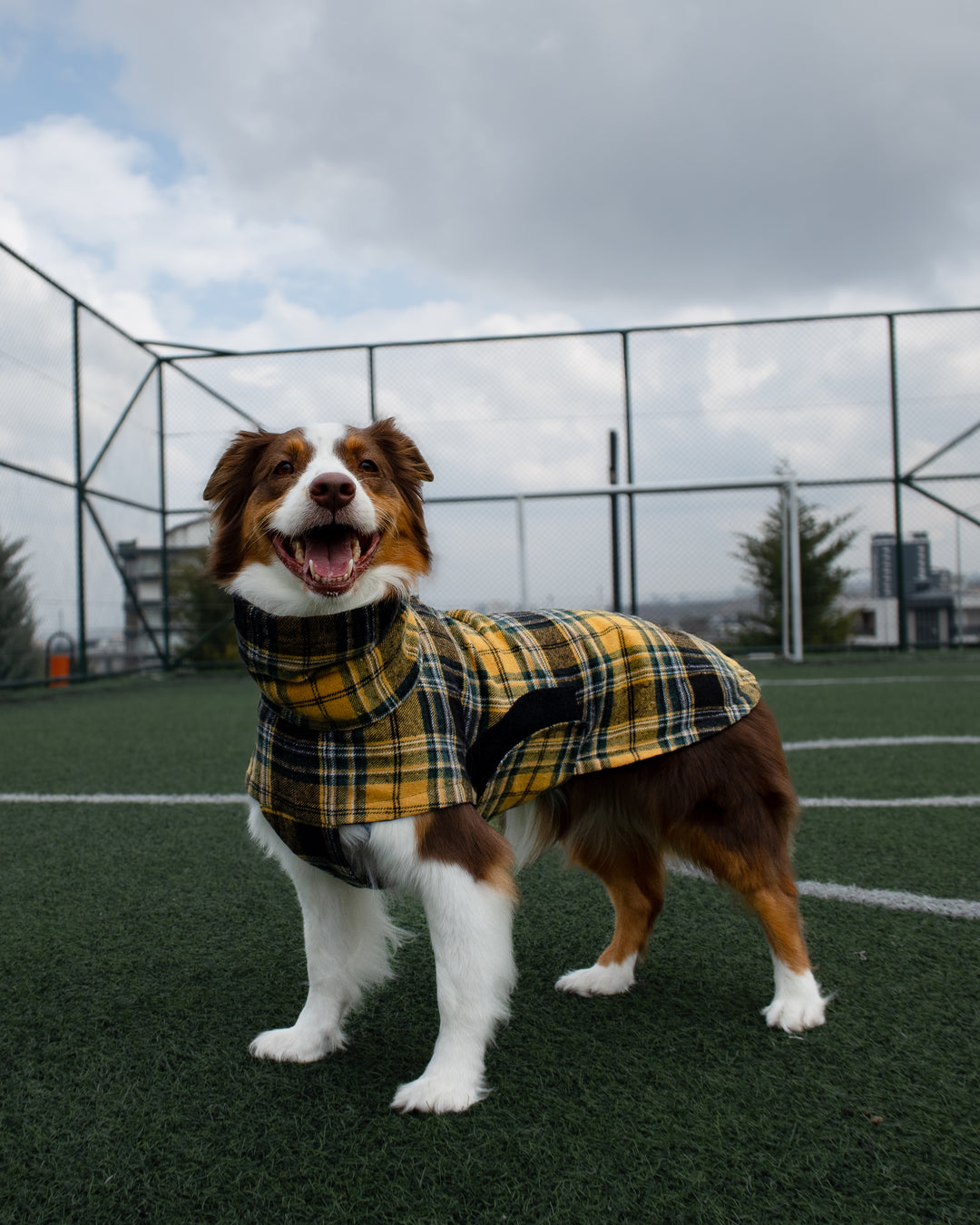 Chicago Vest | Golden Plaid