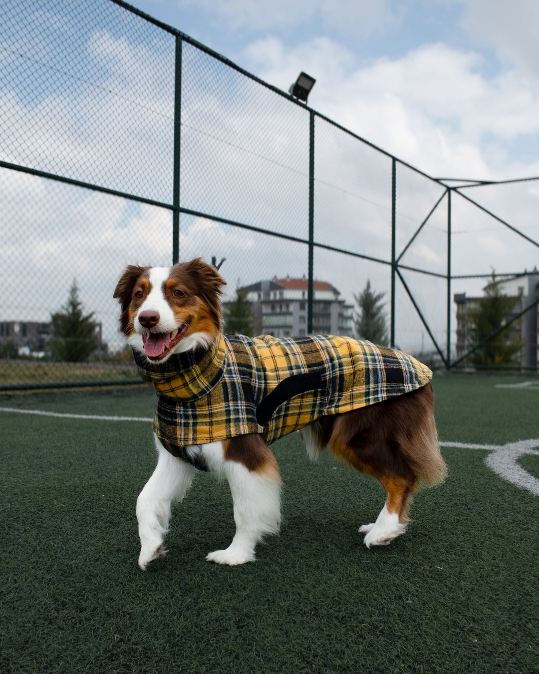 Chicago Vest | Golden Plaid