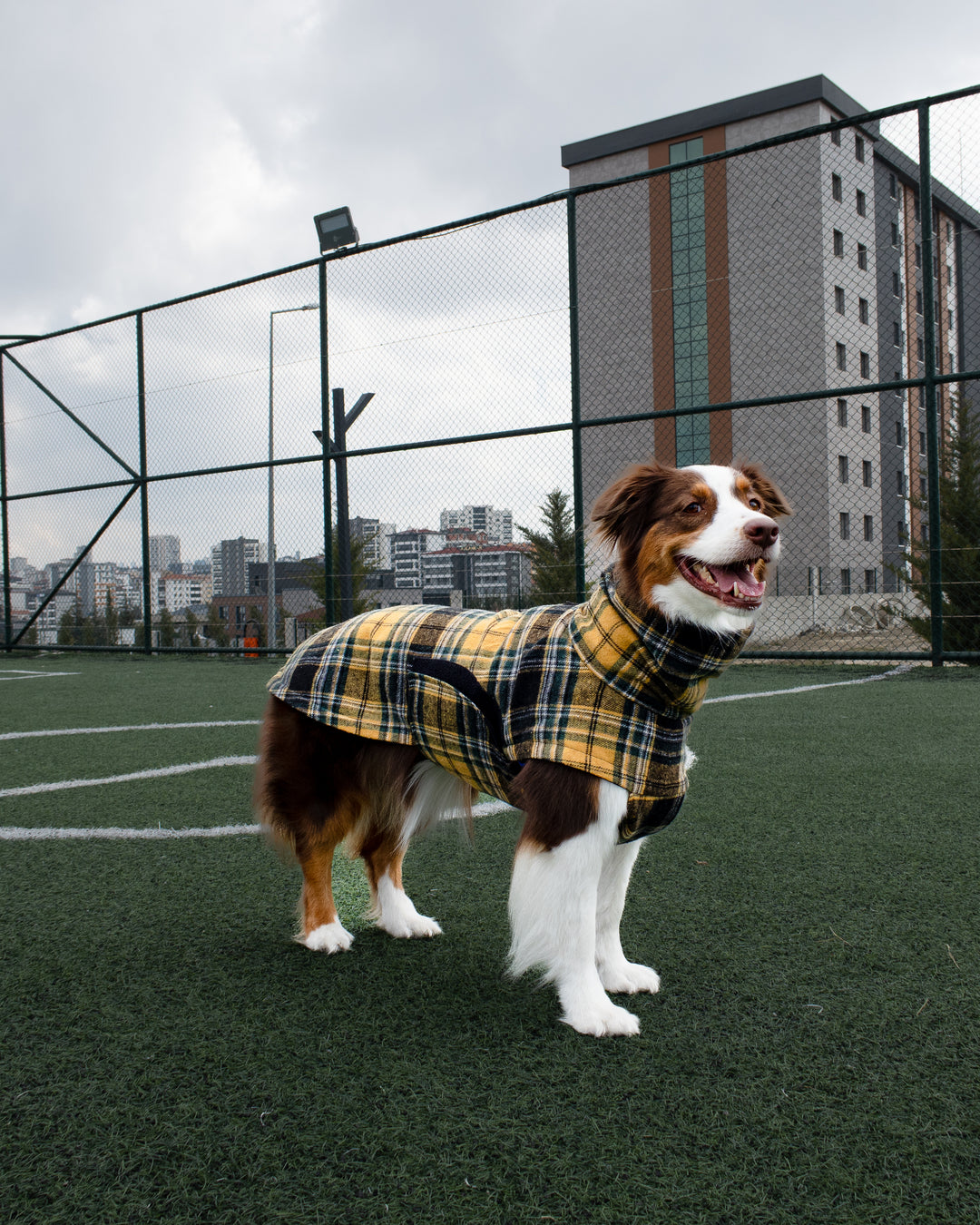 Chicago Vest | Golden Plaid