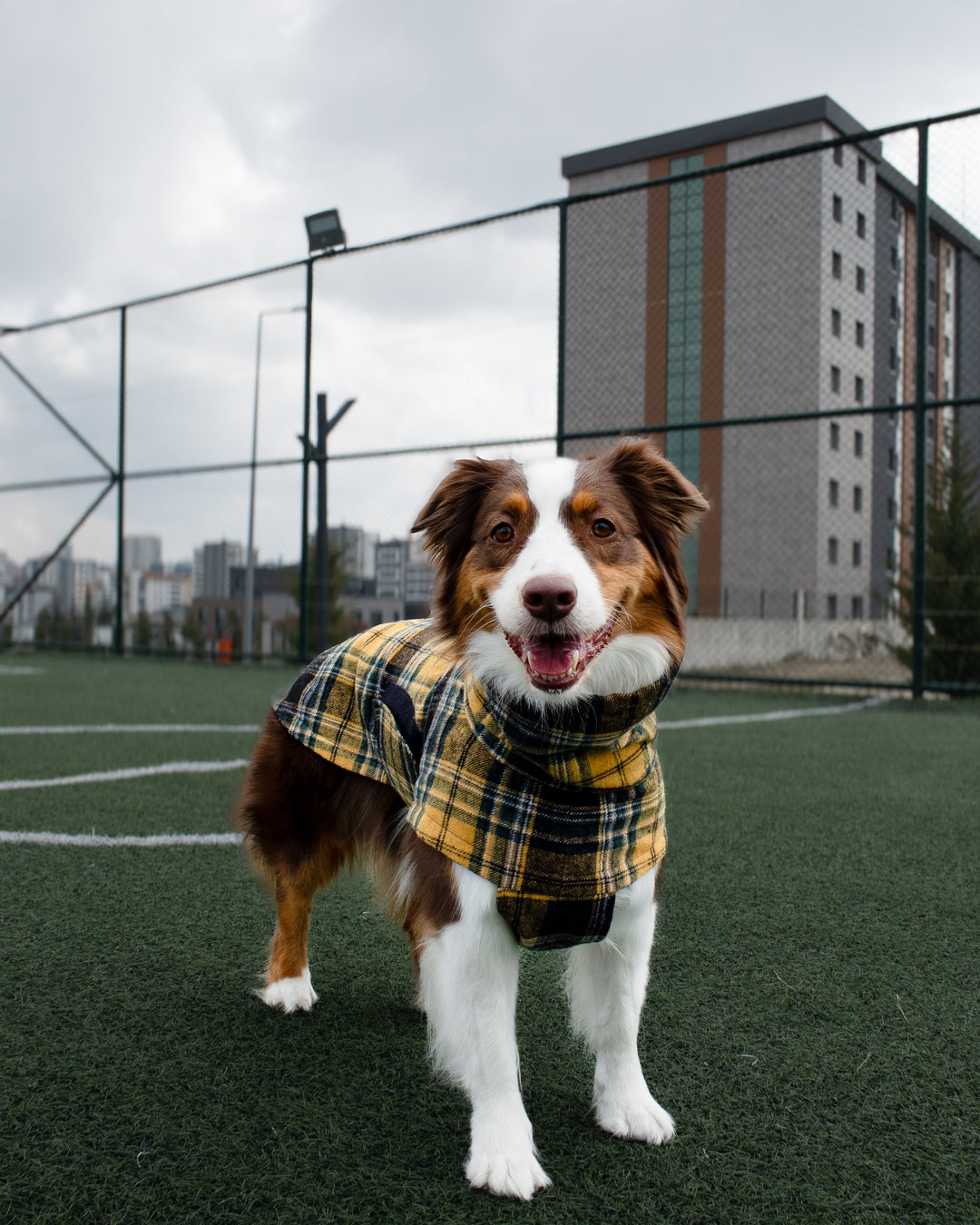 Chicago Vest | Golden Plaid