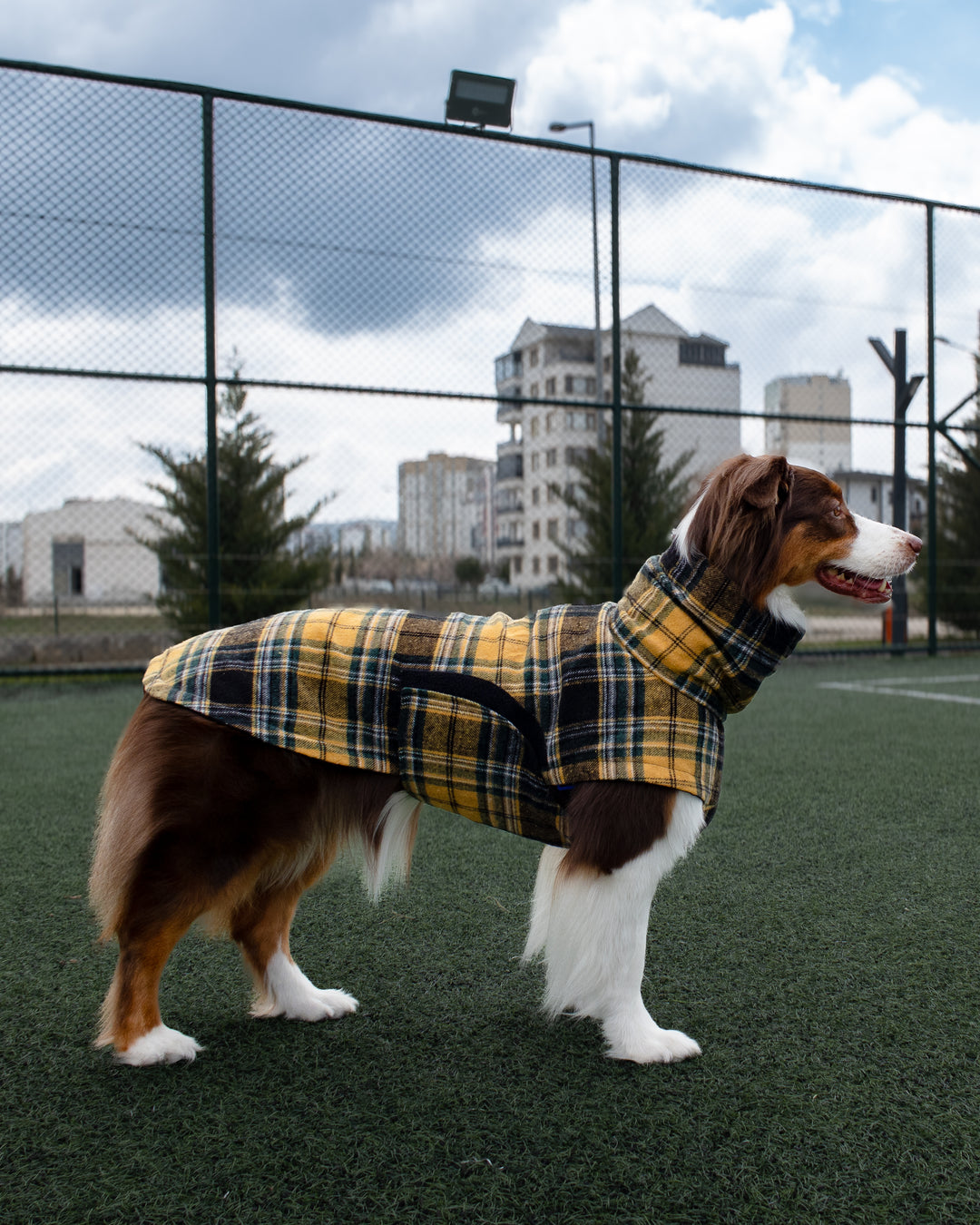 Chicago Vest | Golden Plaid