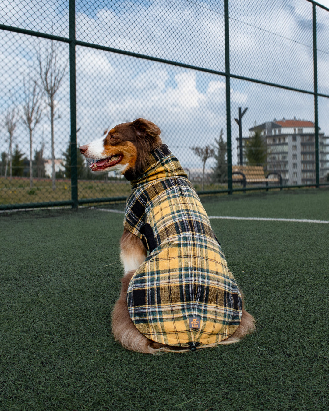 Chicago Vest | Golden Plaid