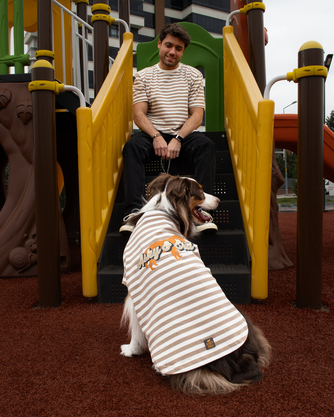 Heritage Stripe Tshirt | Oat Latte
