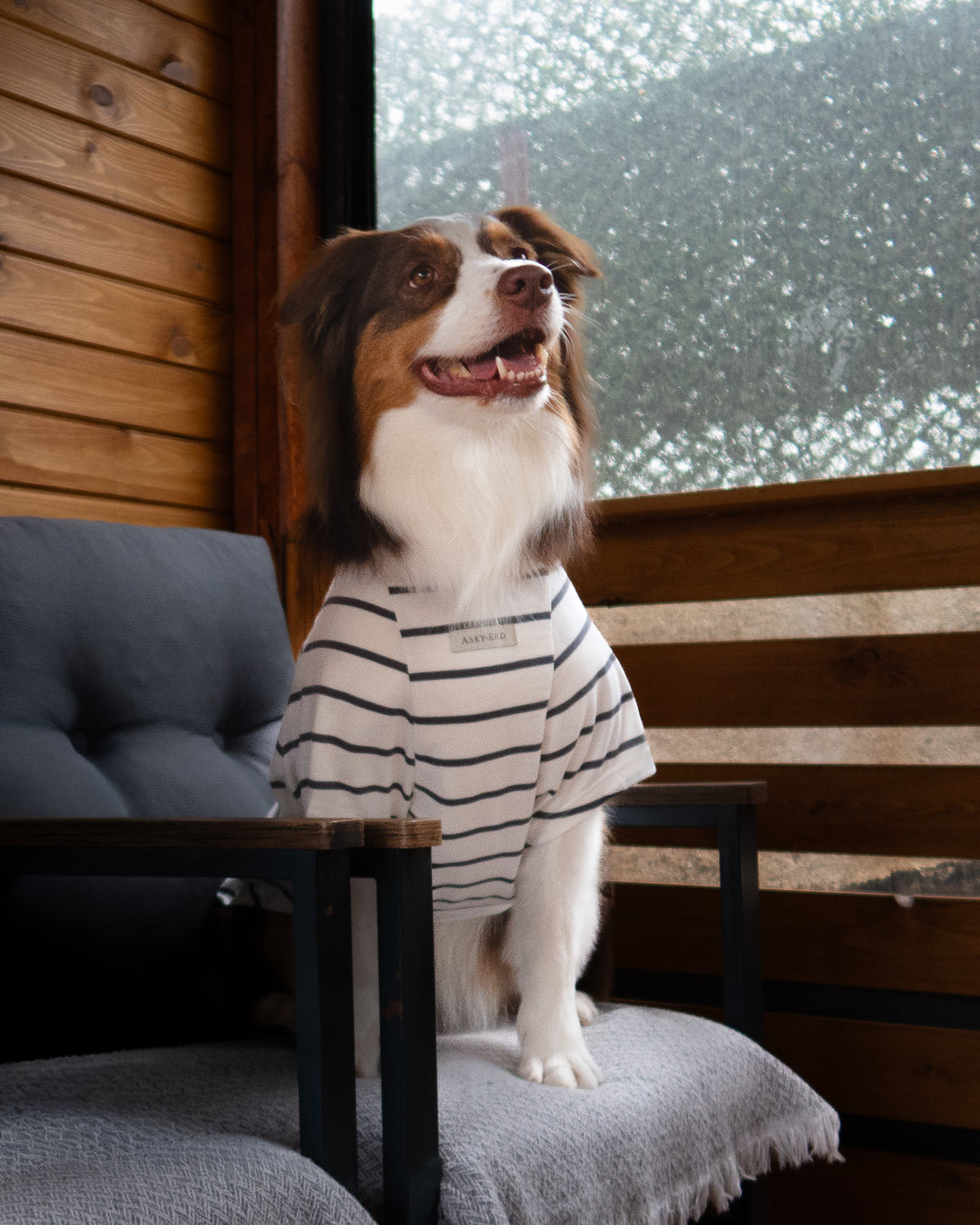 Doing My Best Club Stripe T-Shirt | Urban Grey