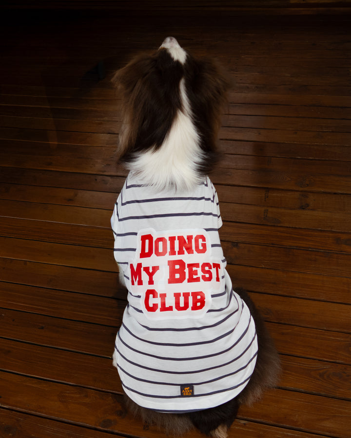 Doing My Best Club Stripe T-Shirt | Urban Grey