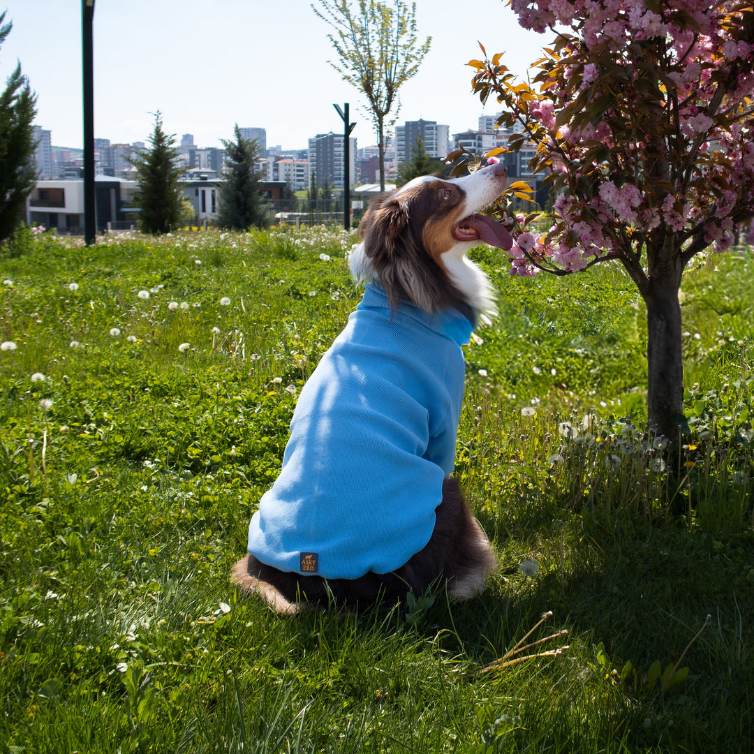 Turtleneck Tshirt | Powder Blue