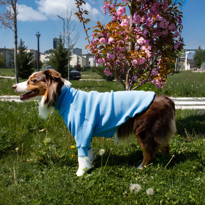 Turtleneck Tshirt | Powder Blue