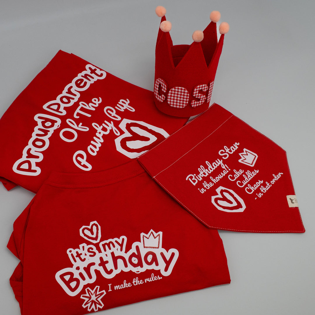 It’s My Birthday Crown Hat