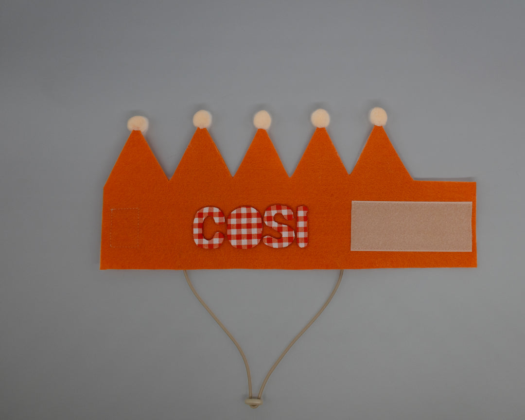 Barkday Club Crown Hat