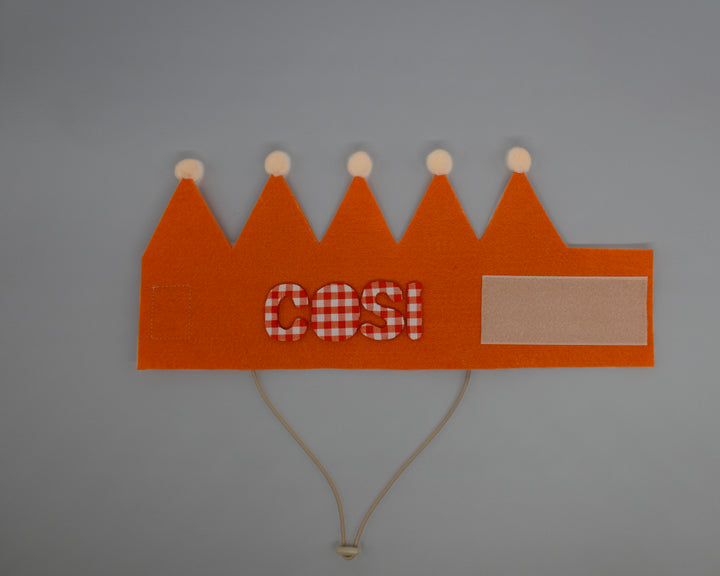 Barkday Club Crown Hat