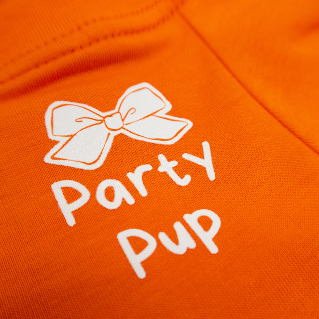 Barkday Club | Vibrant Orange