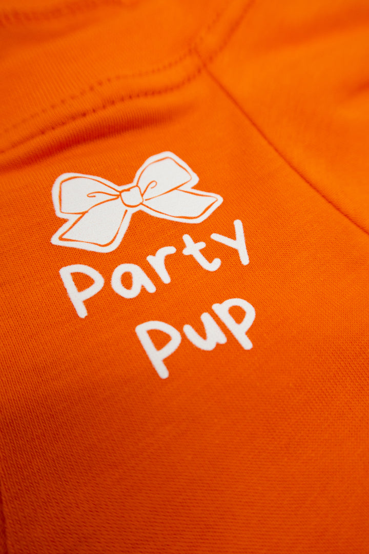 Barkday Club Set | Vibrant Orange (Kişiselleştirilebilir Taçlı Set)