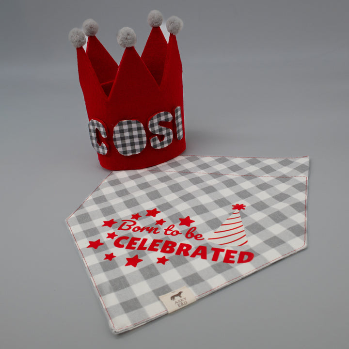 Party Club Crown Hat