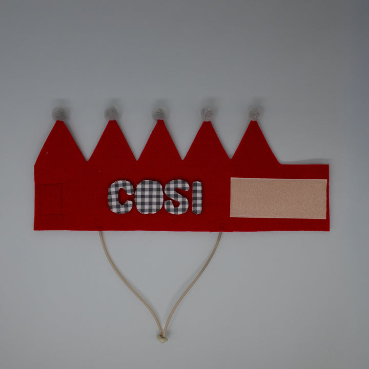 Party Club Crown Hat