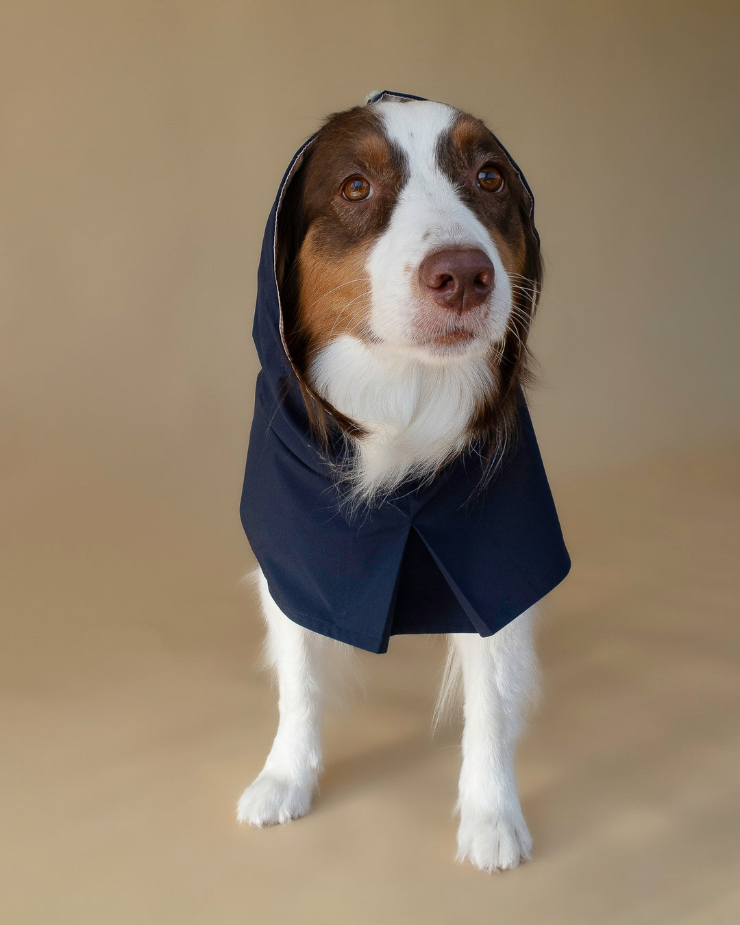 Seattle Raincoat | Indigo Storm
