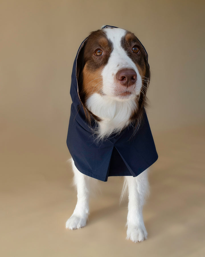 Seattle Raincoat | Indigo Storm