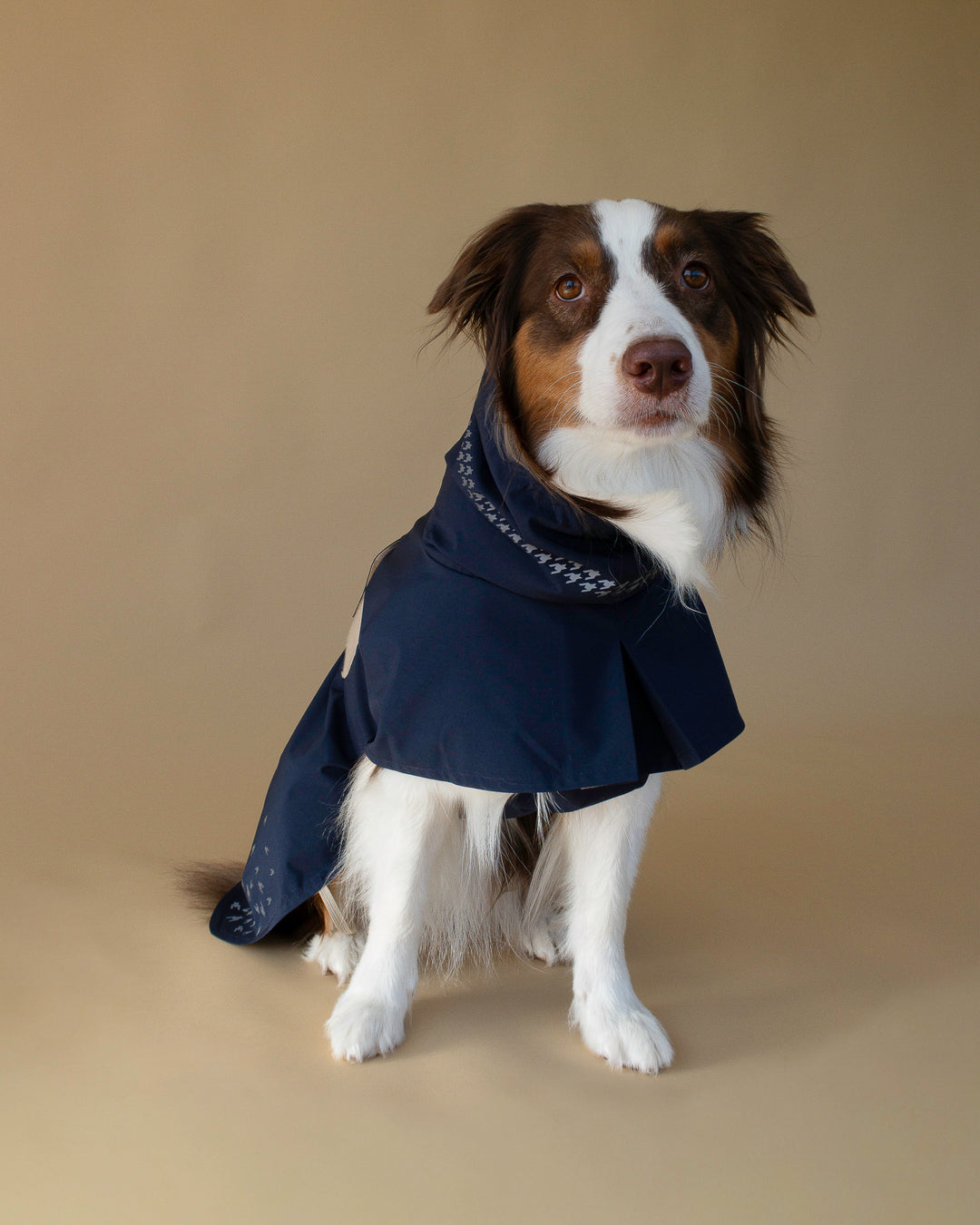 Seattle Raincoat | Indigo Storm
