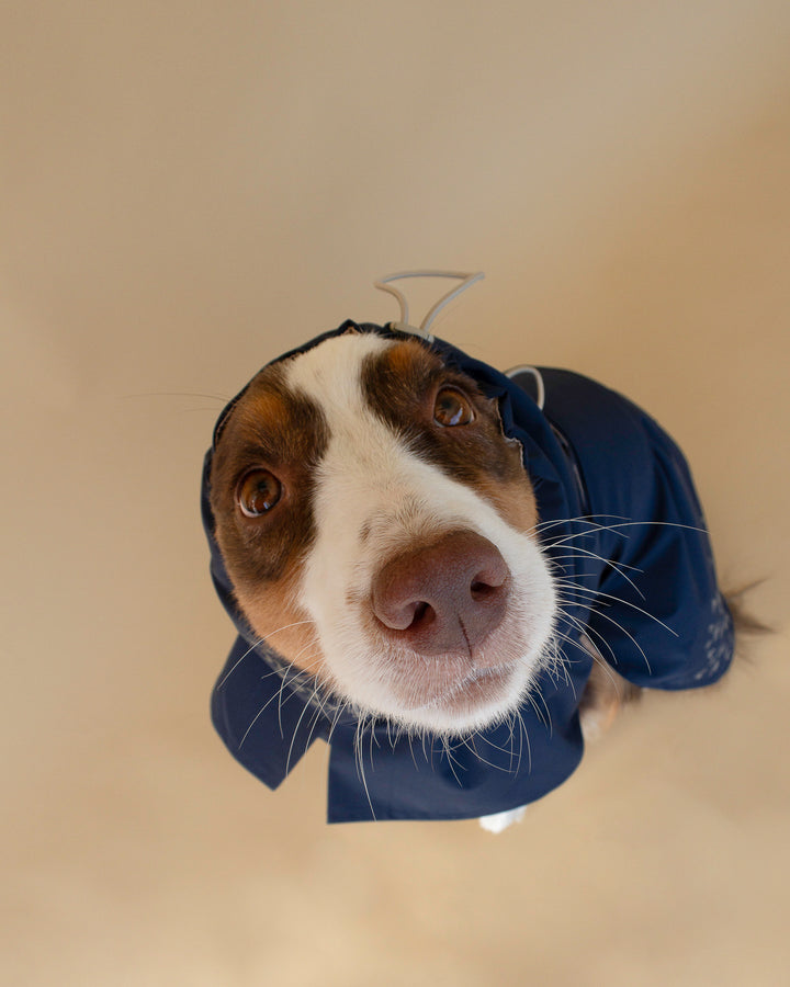 Seattle Raincoat | Indigo Storm