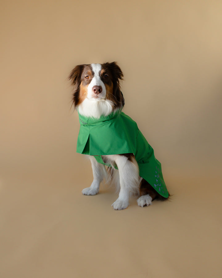 Seattle Raincoat | Evergreen