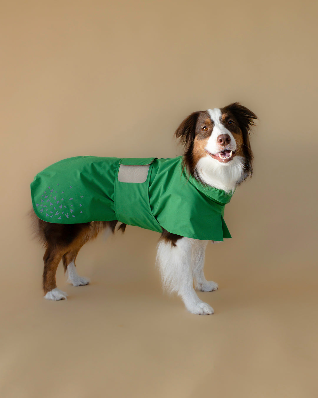 Seattle Raincoat | Evergreen