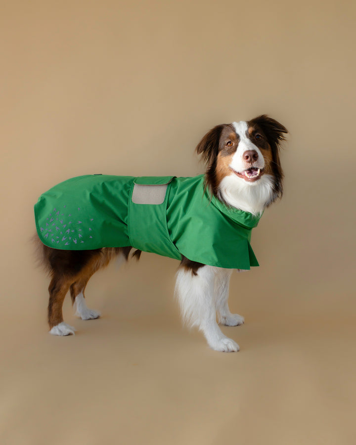 Seattle Raincoat | Evergreen