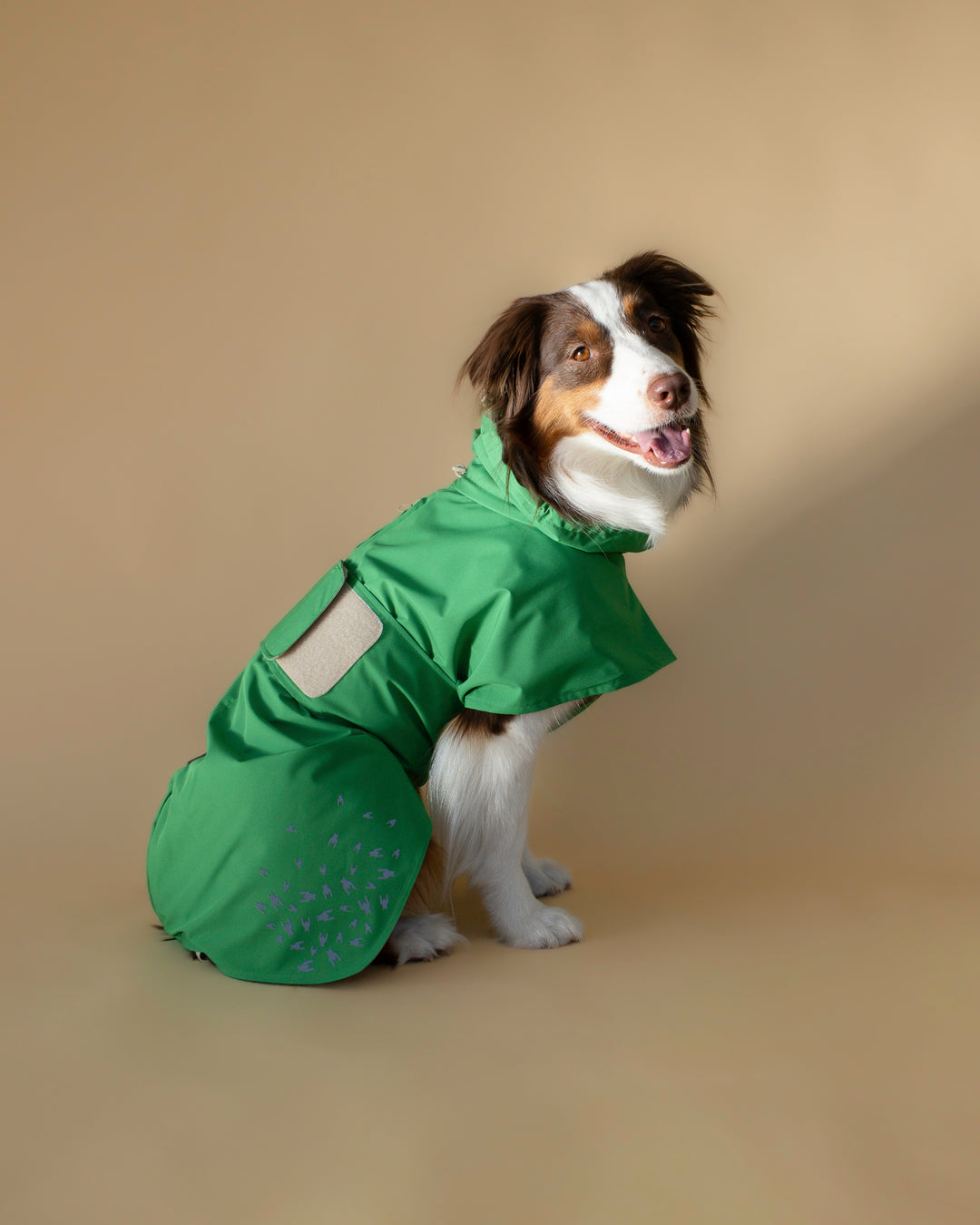 Seattle Raincoat | Evergreen