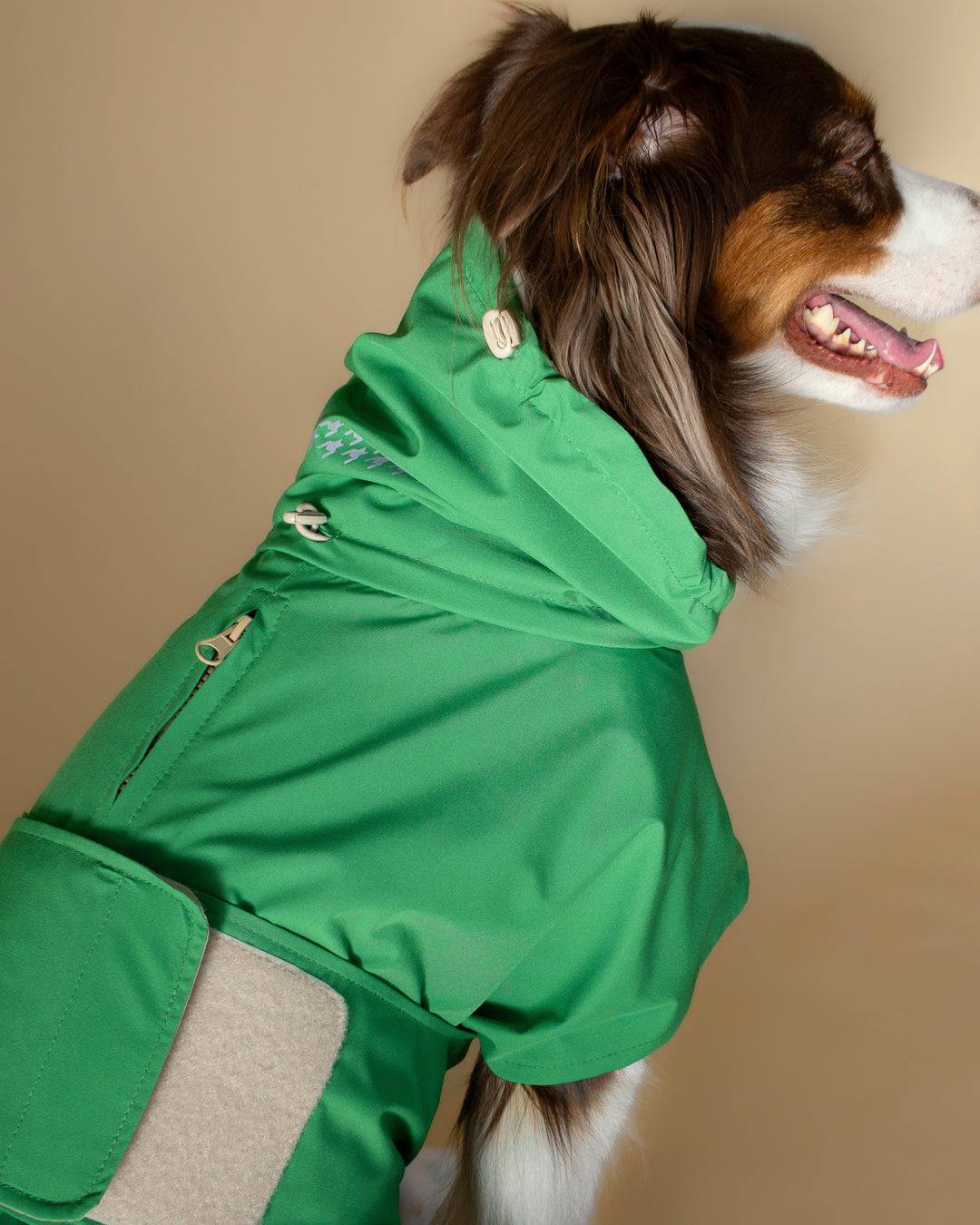Seattle Raincoat | Evergreen