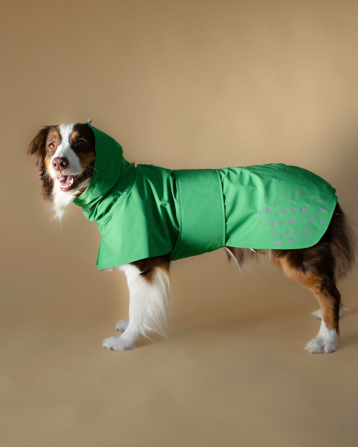 Seattle Raincoat | Evergreen