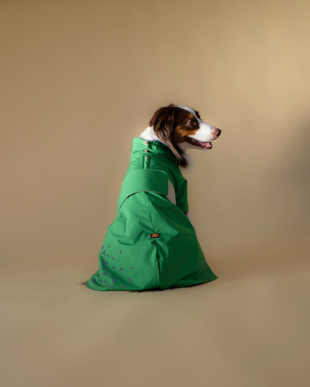 Seattle Raincoat | Evergreen
