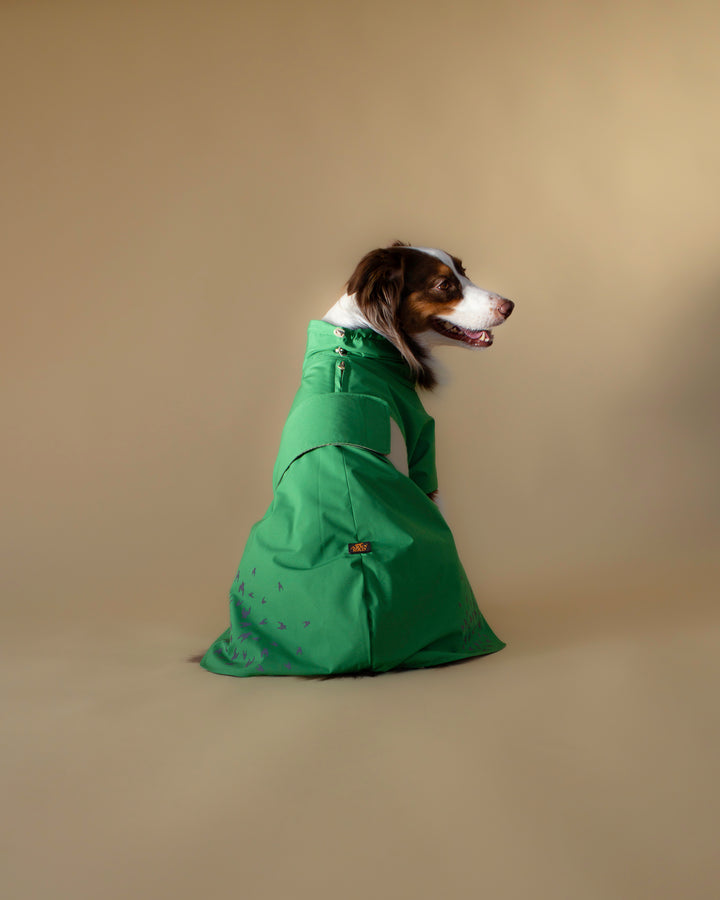 Seattle Raincoat | Evergreen