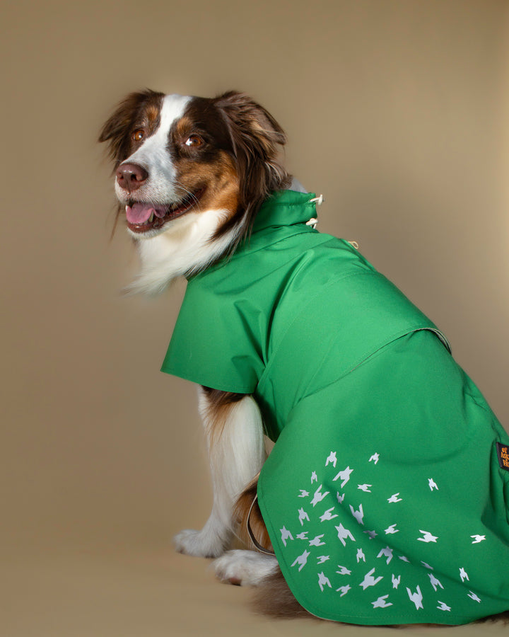 Seattle Raincoat | Evergreen