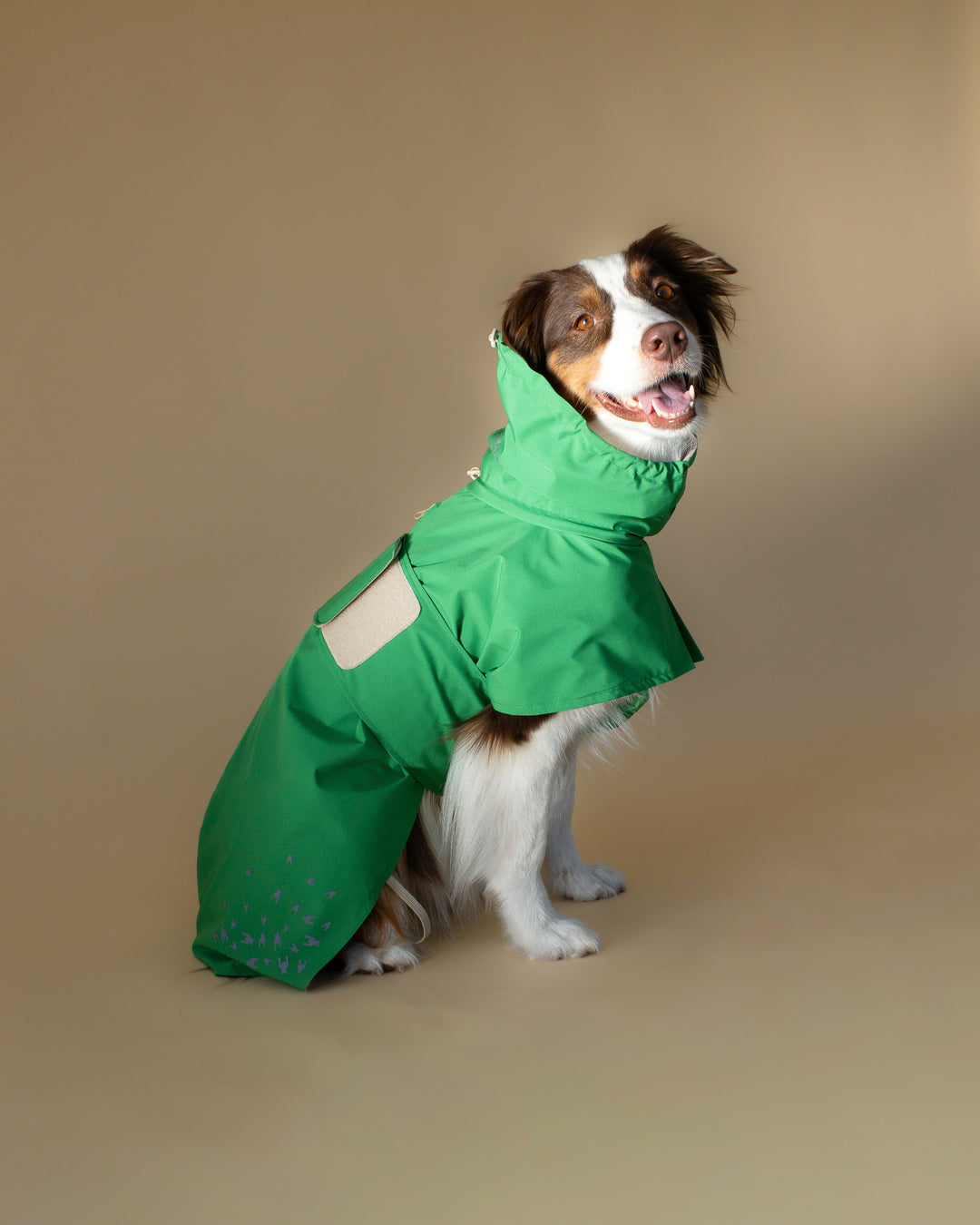Seattle Raincoat | Evergreen