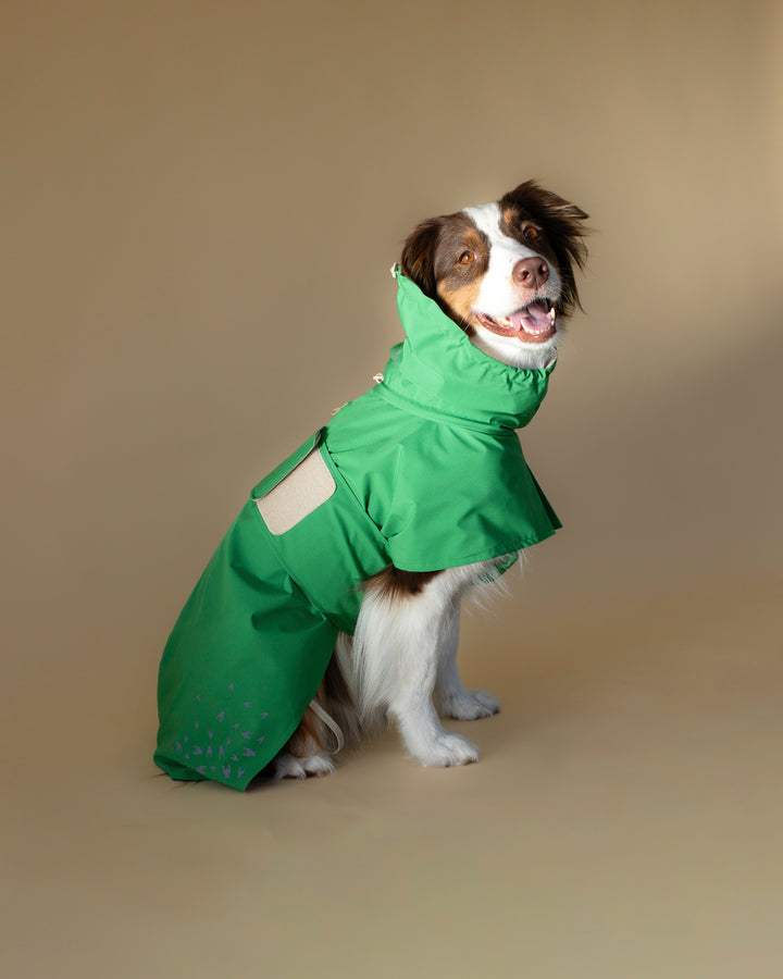 Seattle Raincoat | Evergreen