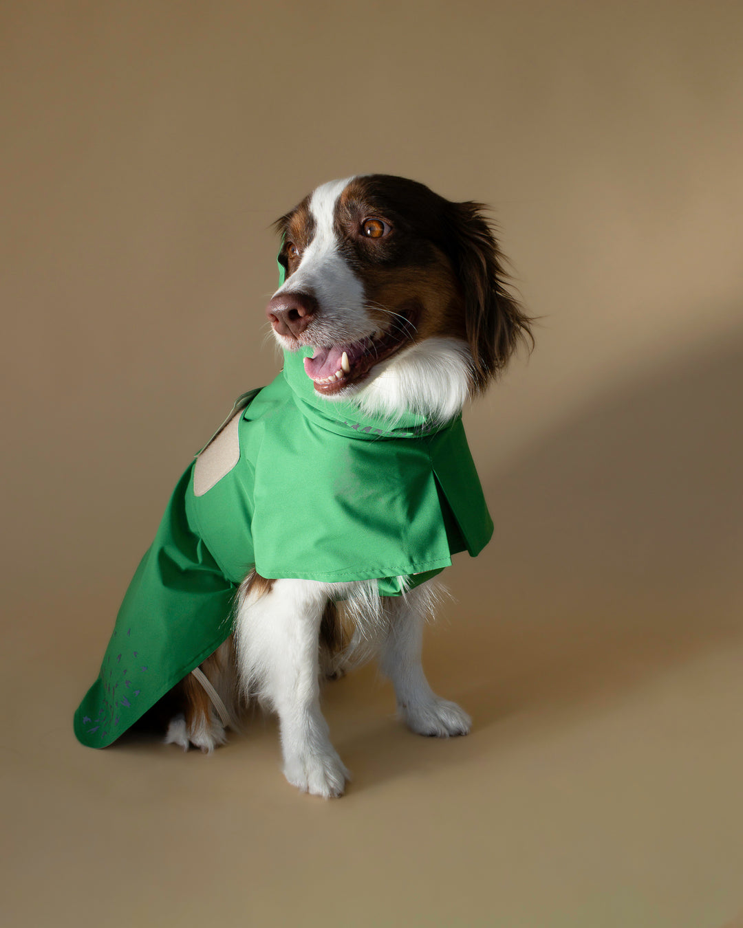 Seattle Raincoat | Evergreen