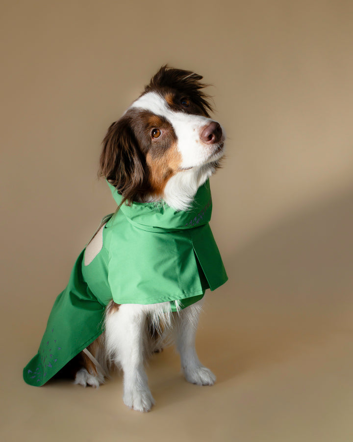 Seattle Raincoat | Evergreen
