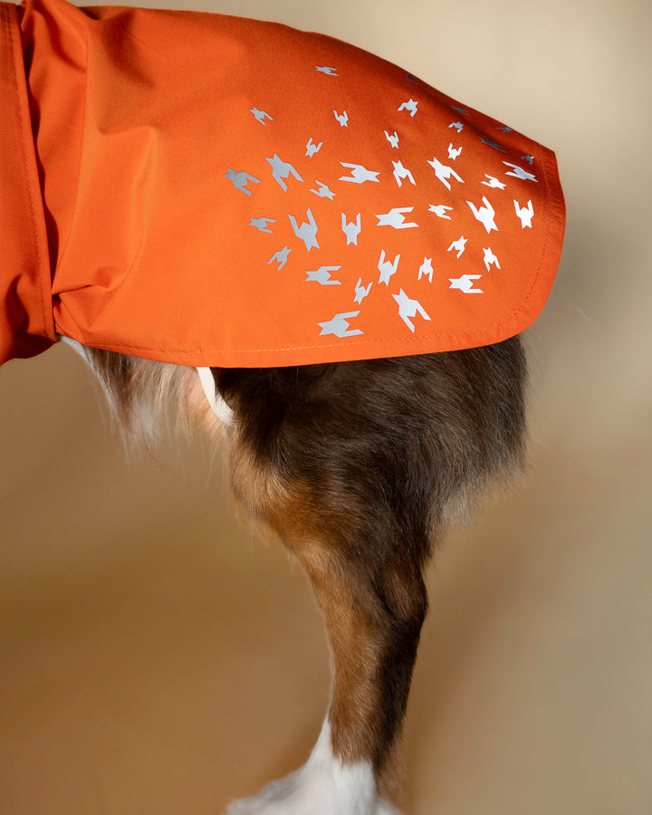 Seattle Raincoat | Amber Glow