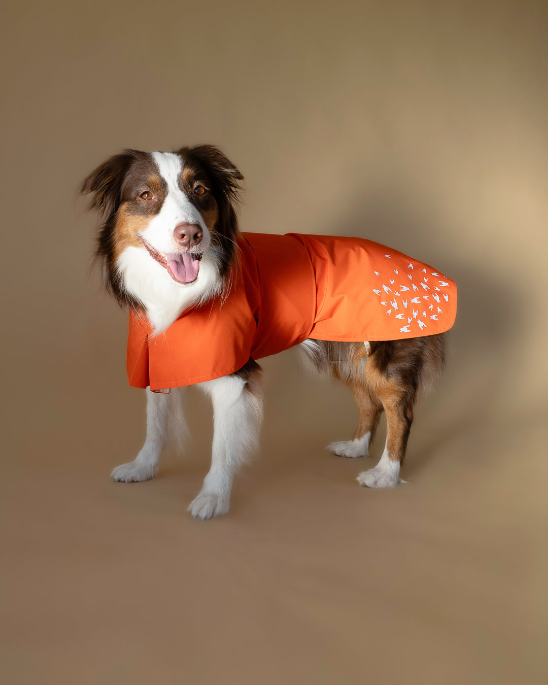 Seattle Raincoat | Amber Glow