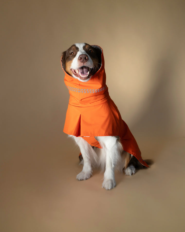 Seattle Raincoat | Amber Glow