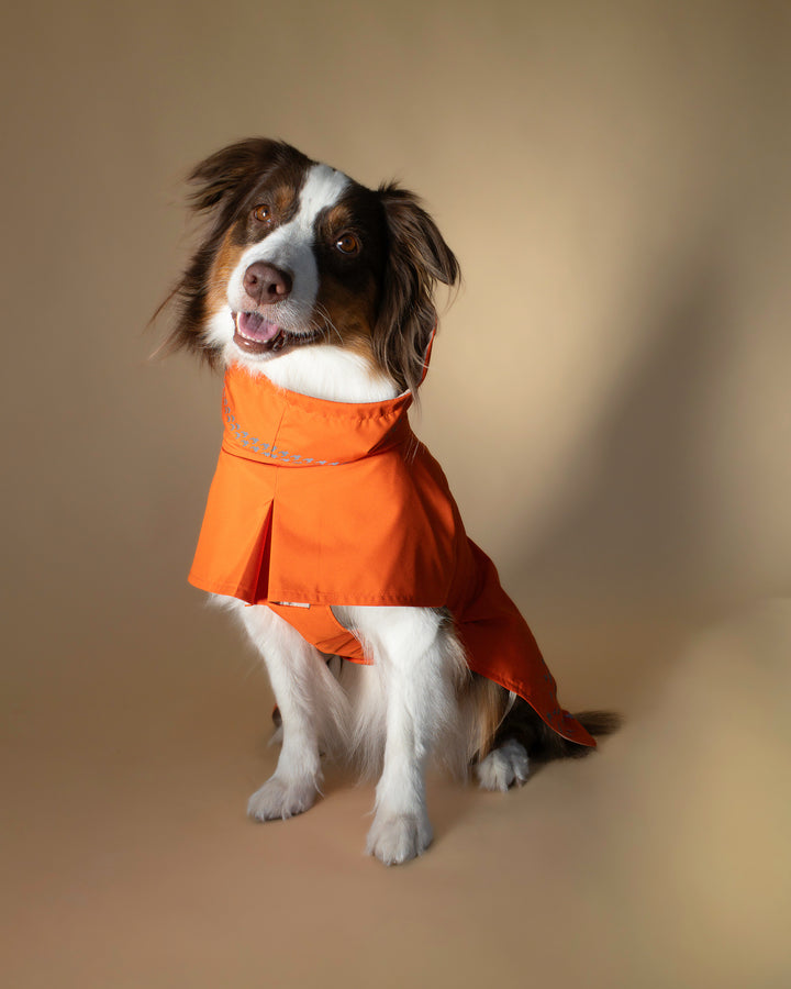 Seattle Raincoat | Amber Glow