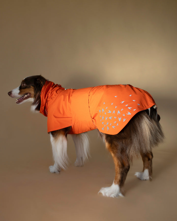 Seattle Raincoat | Amber Glow
