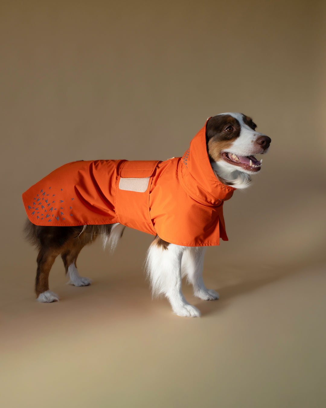 Seattle Raincoat | Amber Glow