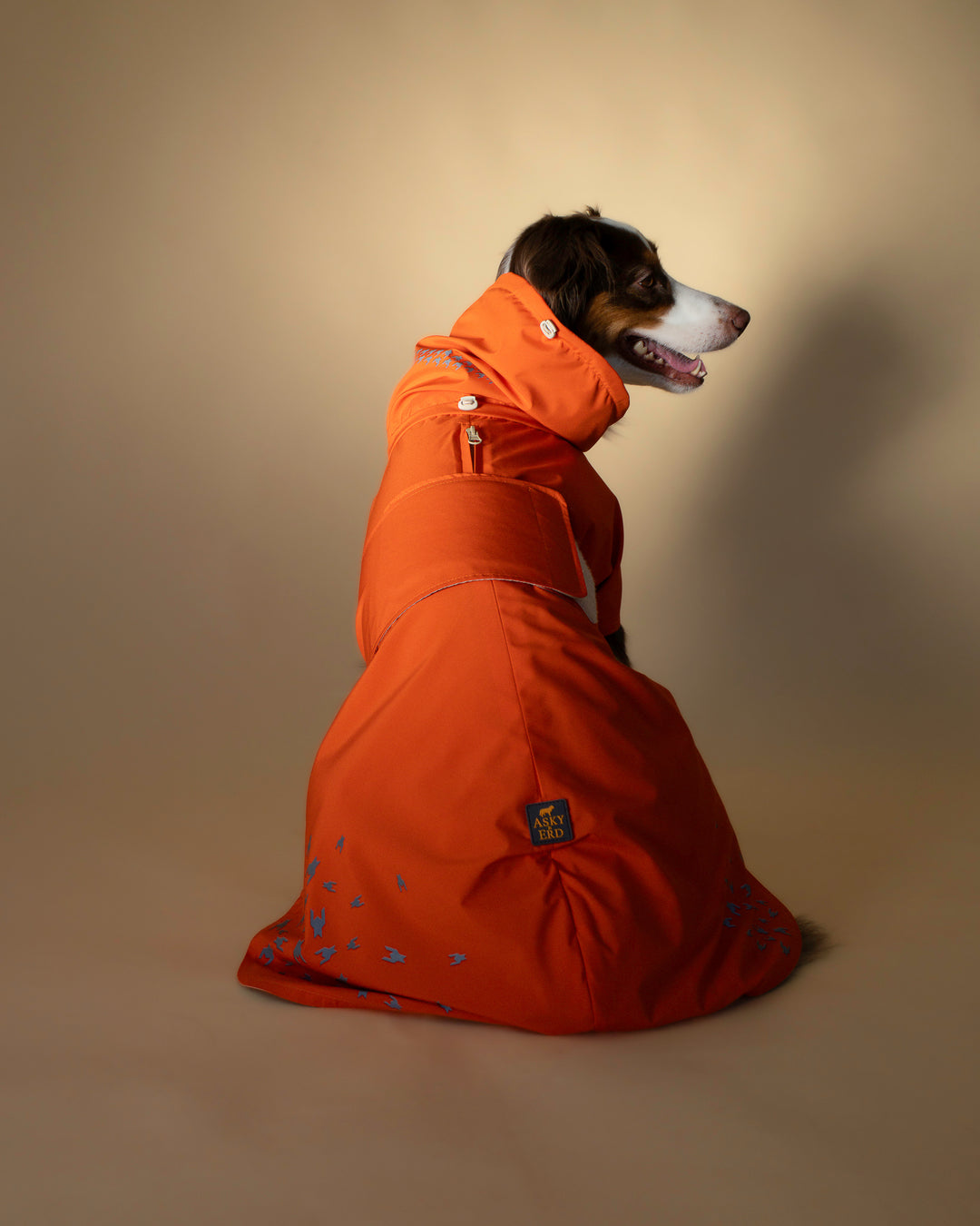 Seattle Raincoat | Amber Glow