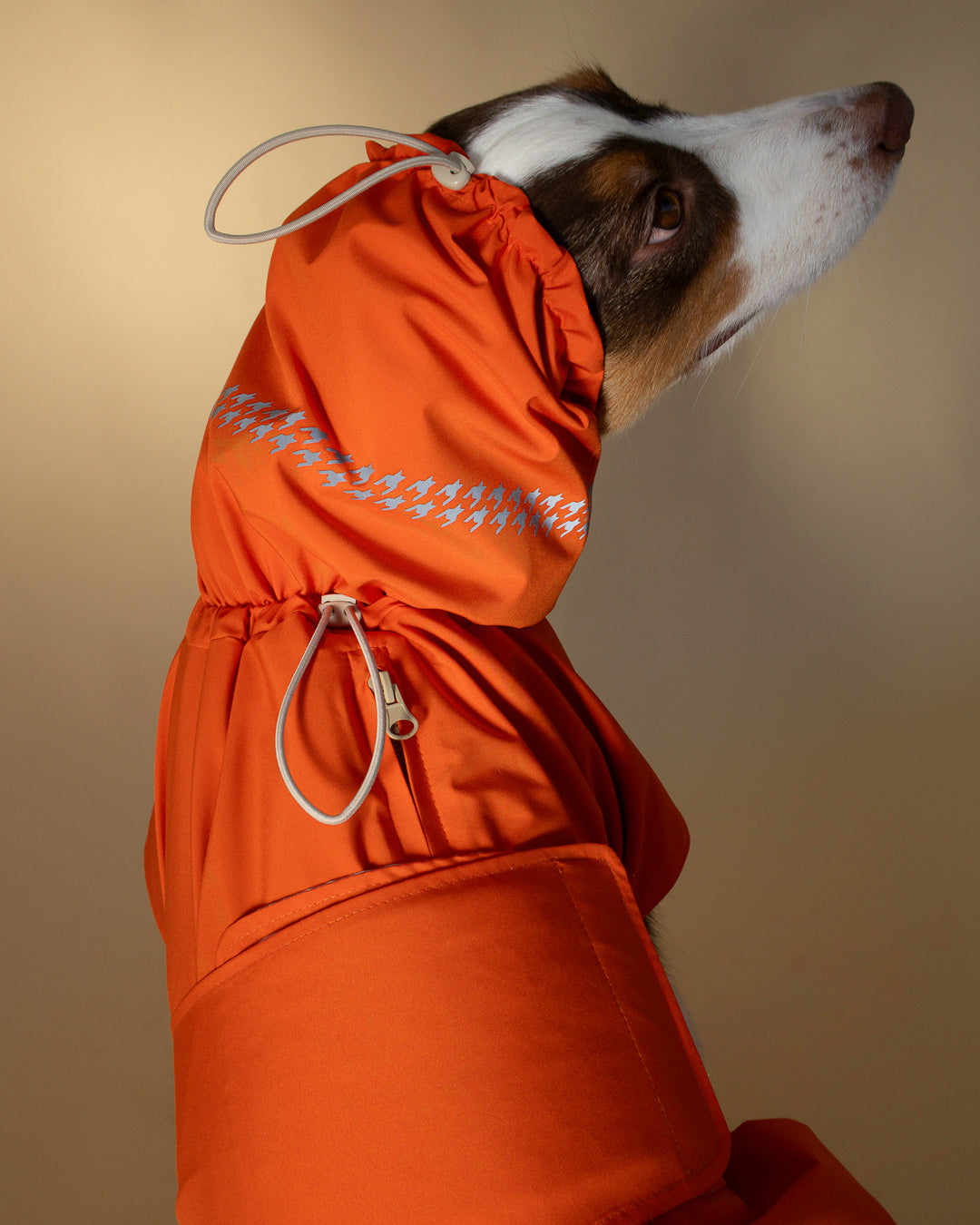 Seattle Raincoat | Amber Glow