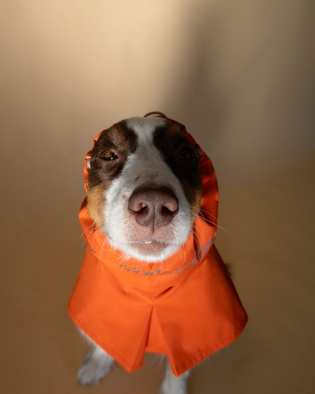 Seattle Raincoat | Amber Glow