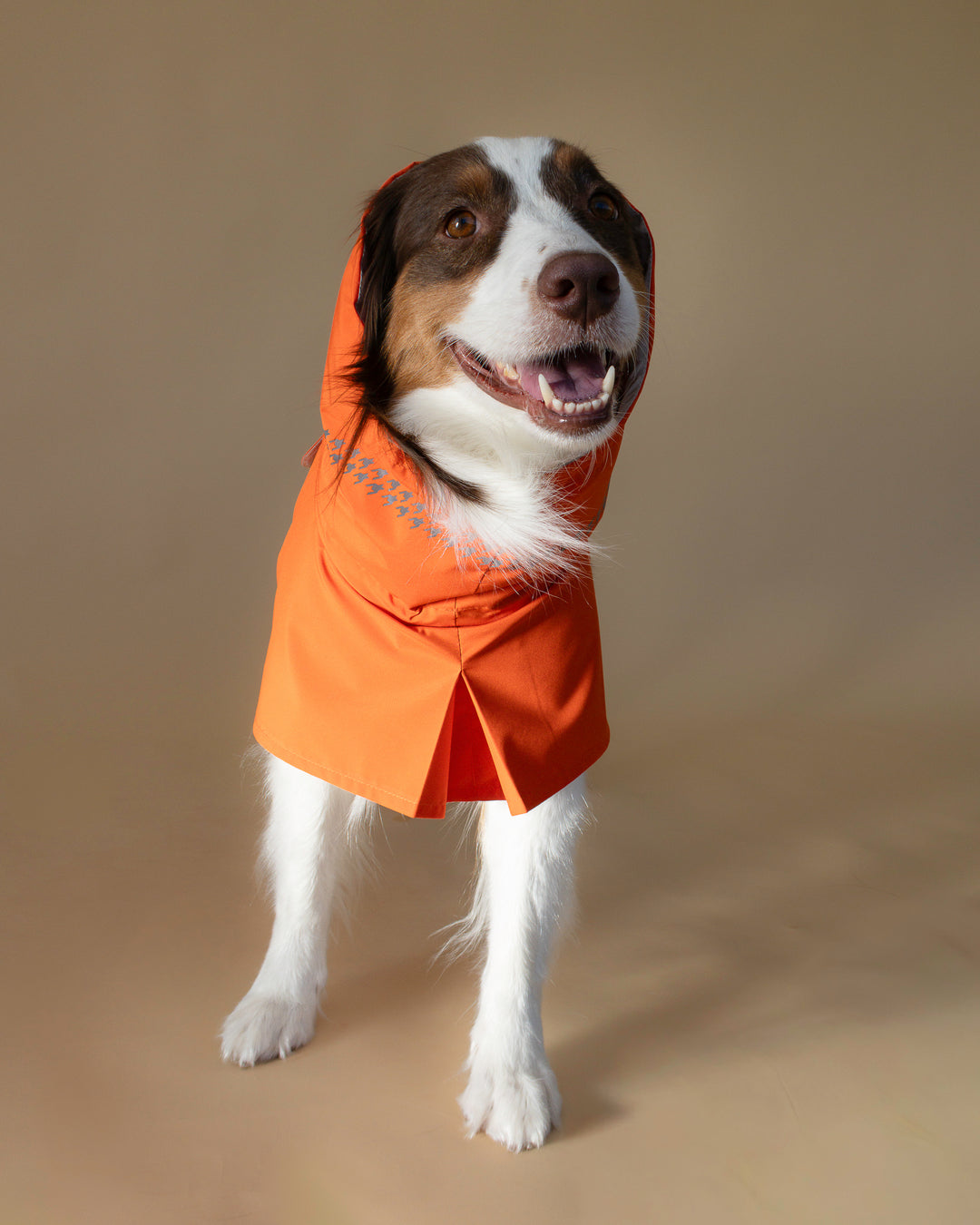 Seattle Raincoat | Amber Glow