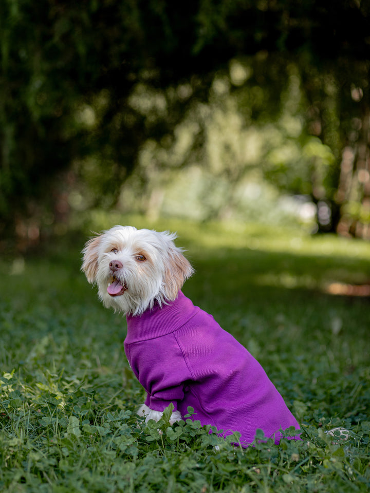 Turtleneck Tshirt | Royal Plum