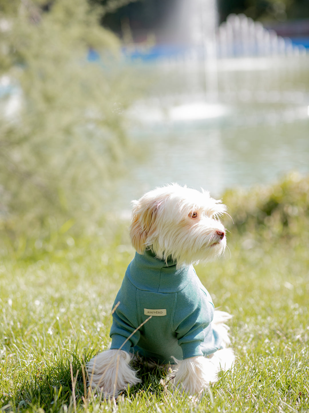 Turtleneck Tshirt | Ocean Sage