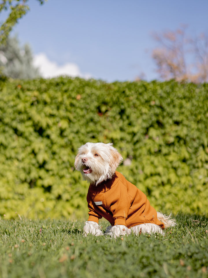 Turtleneck Tshirt | Cinnamon Glow