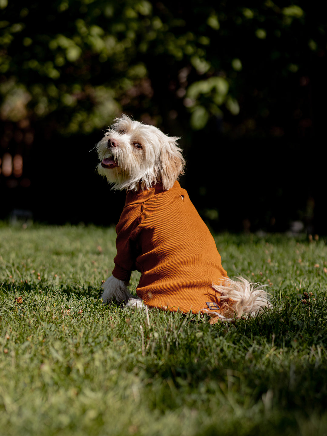 Turtleneck Tshirt | Cinnamon Glow