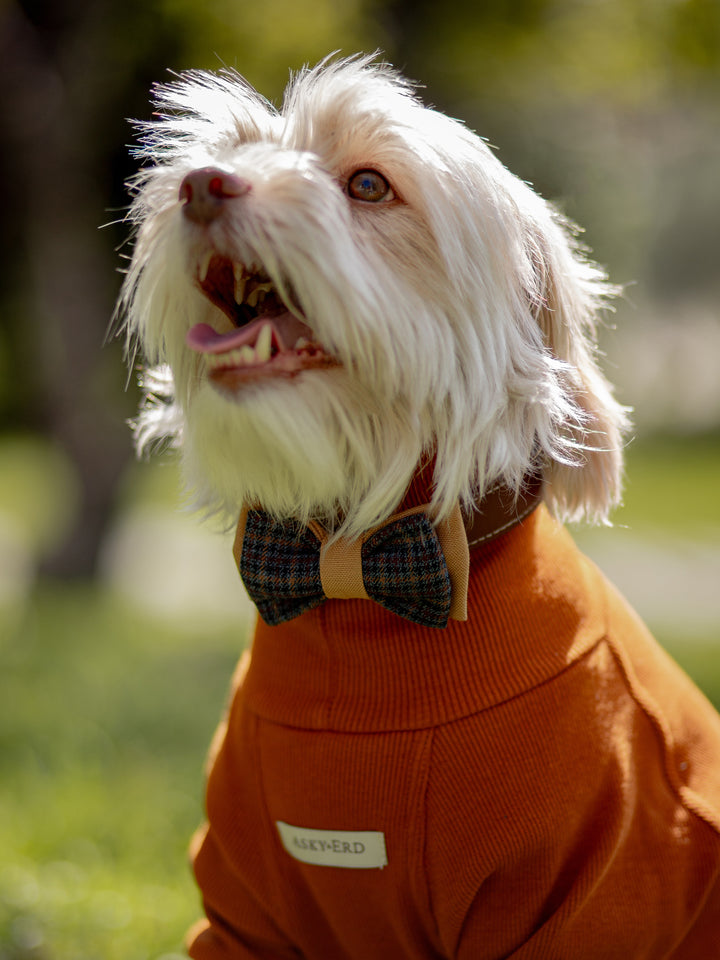 Turtleneck Tshirt | Cinnamon Glow